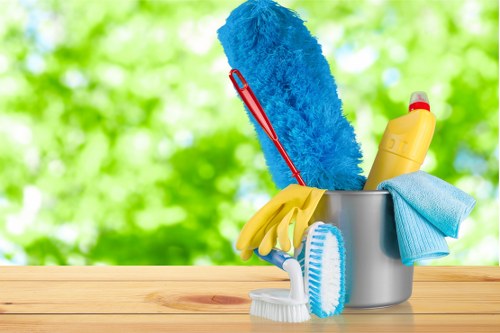 Commercial cleaning team maintaining a professional office environment