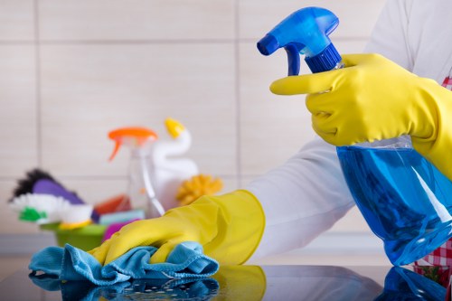 Thorough move in cleaning in a bathroom