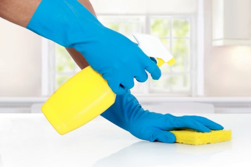 Microfiber cloths, mop, and vacuum for house cleaning