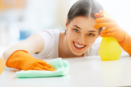 Experienced cleaners in Westminster handling a detailed interior cleanup