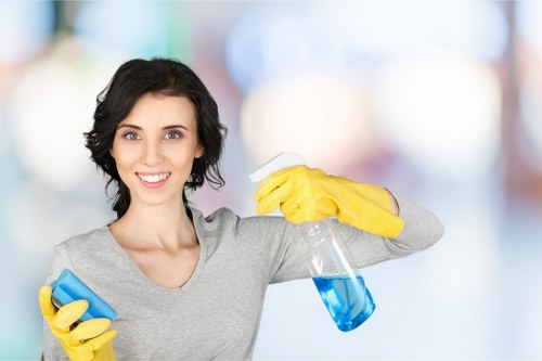 Professional oven cleaning tools and supplies arranged on a counter