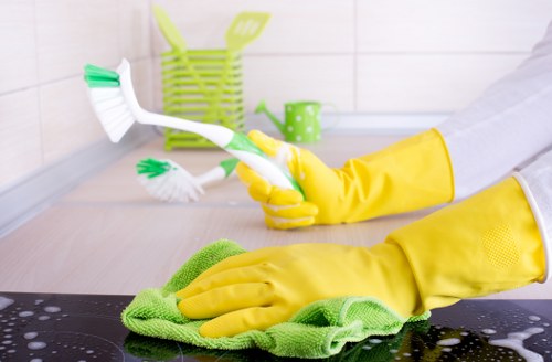 Professional deep cleaning of a kitchen surface