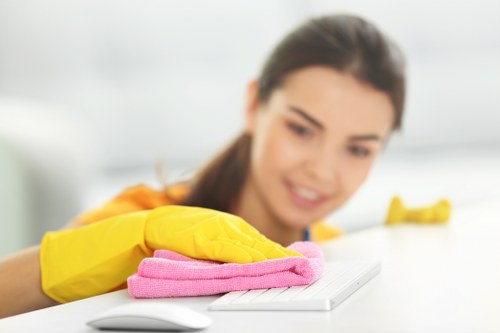 Professional Airbnb cleaning supplies and organized rental checklist