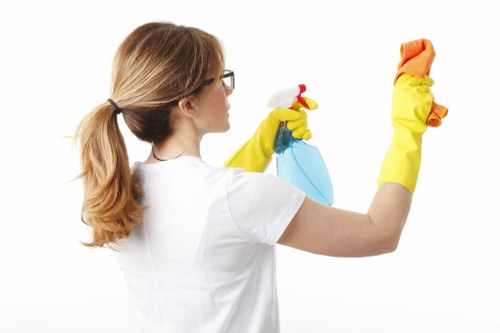 Westminster cleaning services maintaining a bright and hygienic home