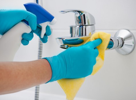 Eco-friendly domestic cleaning supplies on a table