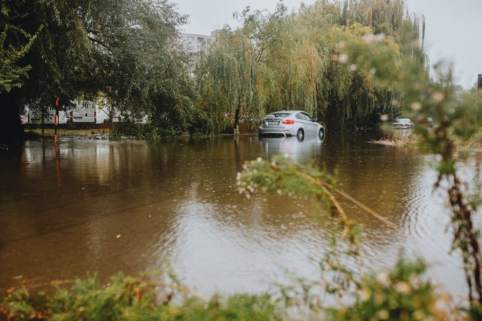 A flooded residential street with water covering the road and partially submerging parked cars. Tall trees with green and yellow leaves are visible in the background, and the water reflects the surrou