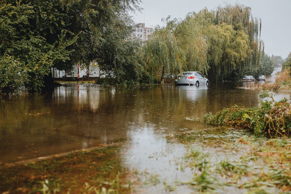 A flooded residential street with water covering the road and partially submerging parked cars. Tall trees with green and yellow leaves are visible in the background, and the water reflects the surrou